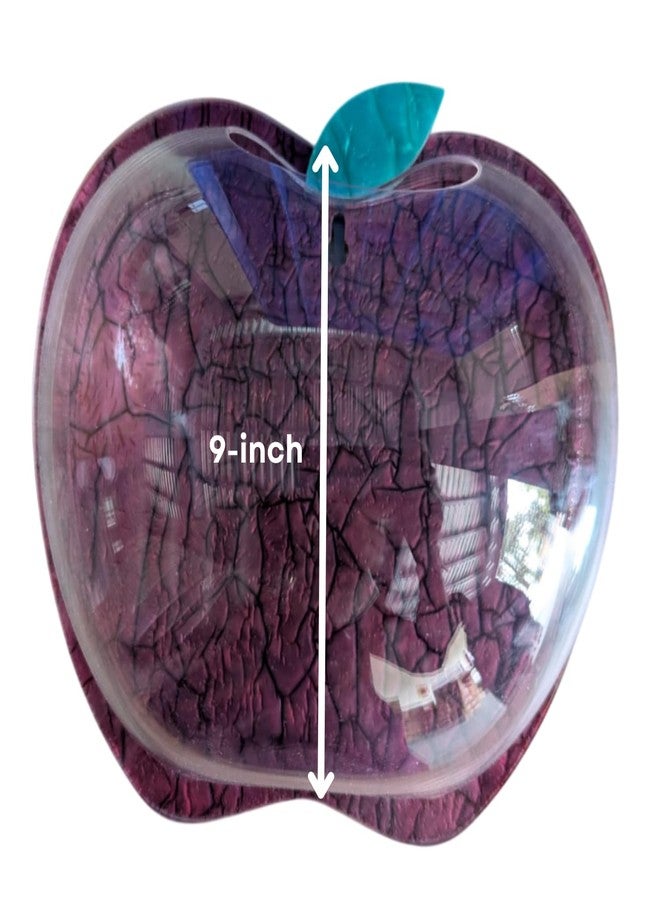 حوض سمك جداري على شكل تفاحة نبيذية مقاس 9 بوصات - بدون قاعدة | حوض أسماك عصري للمنزل والمكتب والمقهى | تصميم موفر للمساحة | حوض سمك أنيق وحوض نباتات زجاجي | تصميم صغير الحجم - Image 2